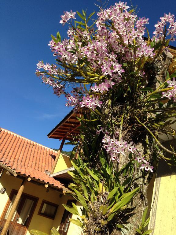 Morada Do Gabriel Ξενοδοχείο Guarda do Embaú Εξωτερικό φωτογραφία